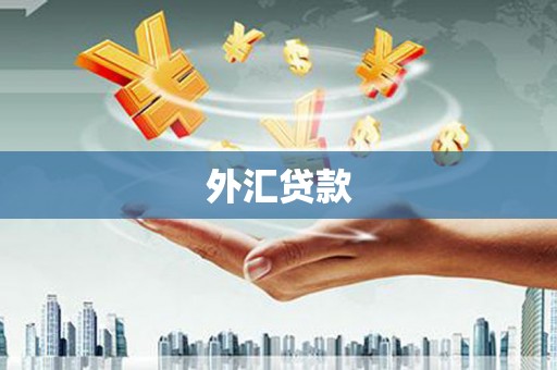 盐津外汇贷款