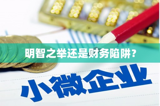 盐津明智之举还是财务陷阱？
