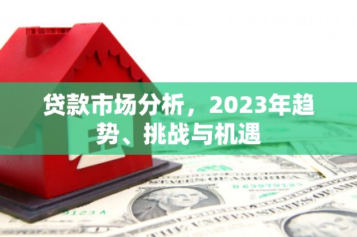 盐津贷款市场分析，2023年趋势、挑战与机遇