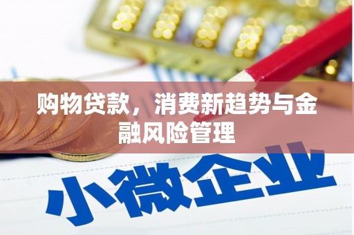盐津购物贷款，消费新趋势与金融风险管理