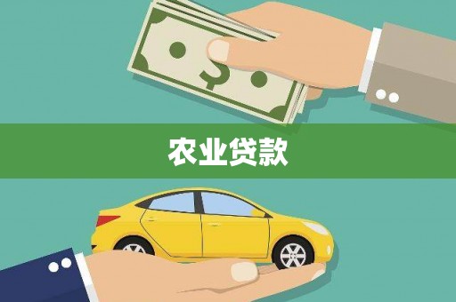 盐津农业贷款