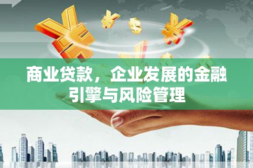 盐津商业贷款，企业发展的金融引擎与风险管理