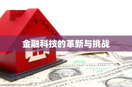 盐津金融科技的革新与挑战