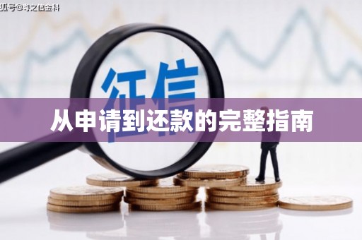 盐津从申请到还款的完整指南