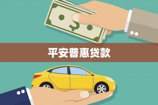 盐津平安普惠贷款
