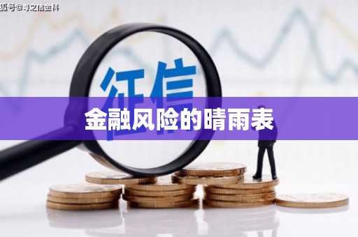 盐津金融风险的晴雨表