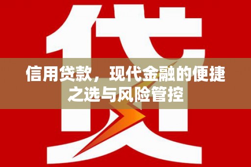 盐津信用贷款，现代金融的便捷之选与风险管控