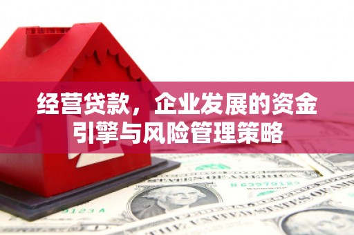 盐津经营贷款，企业发展的资金引擎与风险管理策略