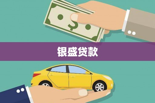 盐津银盛贷款