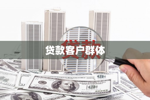 盐津贷款客户群体