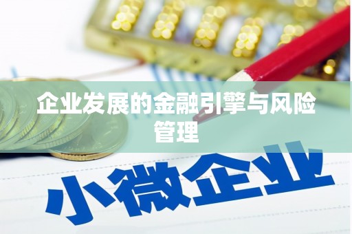 盐津企业发展的金融引擎与风险管理