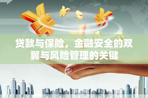 盐津贷款与保险，金融安全的双翼与风险管理的关键