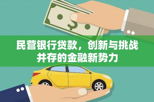 盐津民营银行贷款，创新与挑战并存的金融新势力