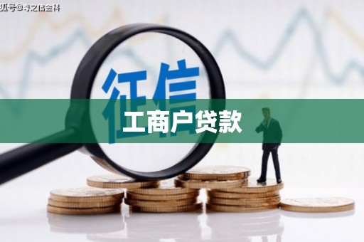 盐津工商户贷款