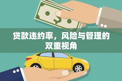 盐津贷款违约率，风险与管理的双重视角