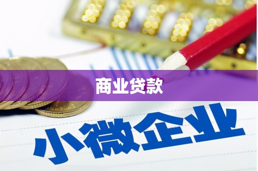 盐津商业贷款