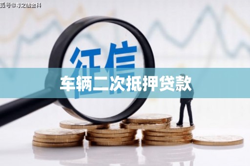 盐津车辆二次抵押贷款
