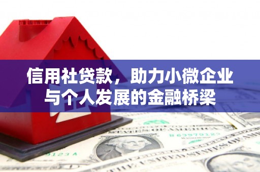 盐津信用社贷款，助力小微企业与个人发展的金融桥梁