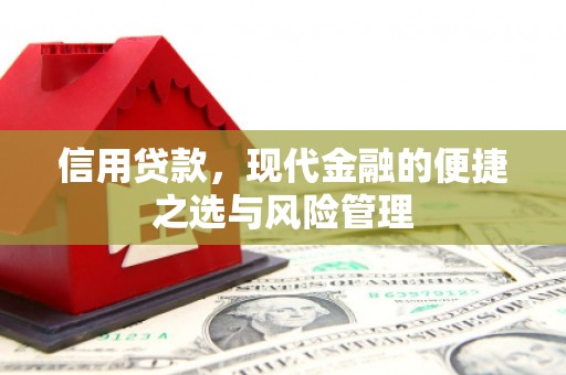 盐津信用贷款，现代金融的便捷之选与风险管理