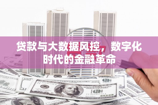 盐津贷款与大数据风控，数字化时代的金融革命