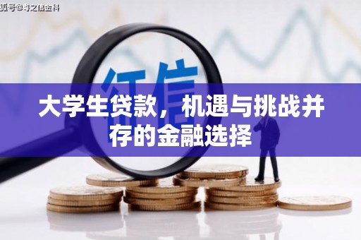 盐津大学生贷款，机遇与挑战并存的金融选择