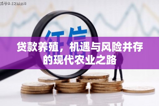 盐津贷款养殖，机遇与风险并存的现代农业之路