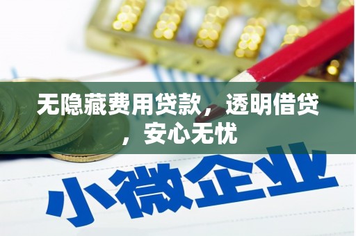 盐津无隐藏费用贷款，透明借贷，安心无忧