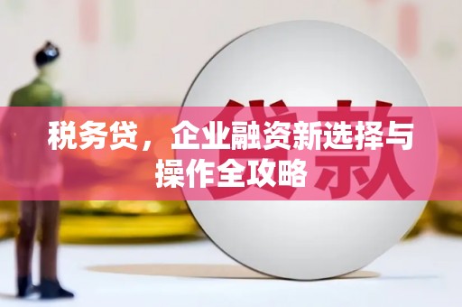 盐津税务贷，企业融资新选择与操作全攻略