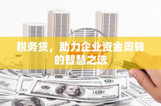 盐津税务贷，助力企业资金周转的智慧之选