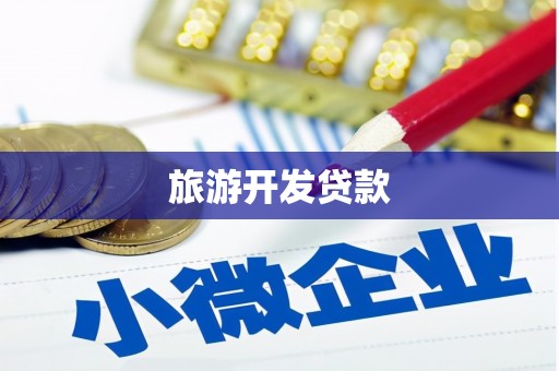 盐津旅游开发贷款