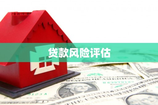 盐津贷款风险评估