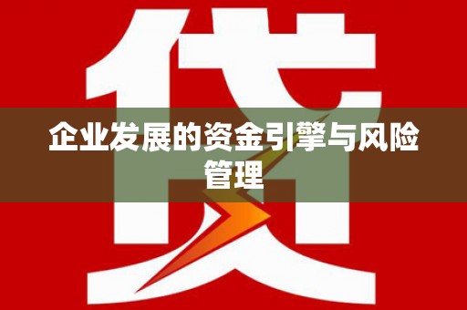 盐津企业发展的资金引擎与风险管理