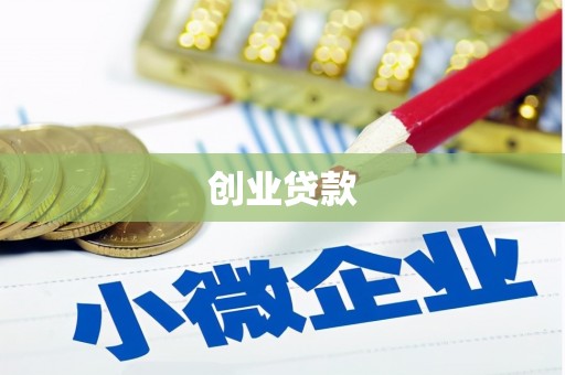 盐津创业贷款