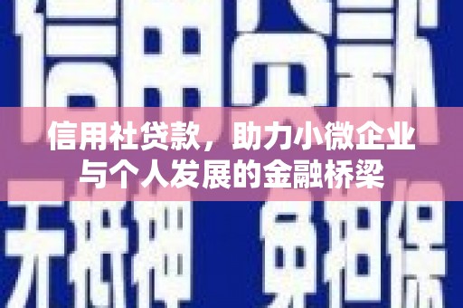 盐津信用社贷款，助力小微企业与个人发展的金融桥梁