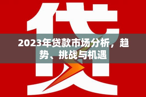 盐津2023年贷款市场分析，趋势、挑战与机遇