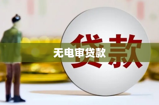 盐津无电审贷款
