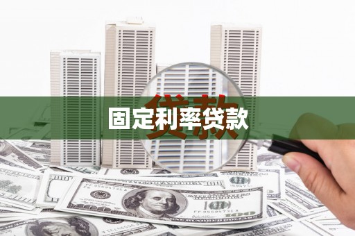 盐津固定利率贷款
