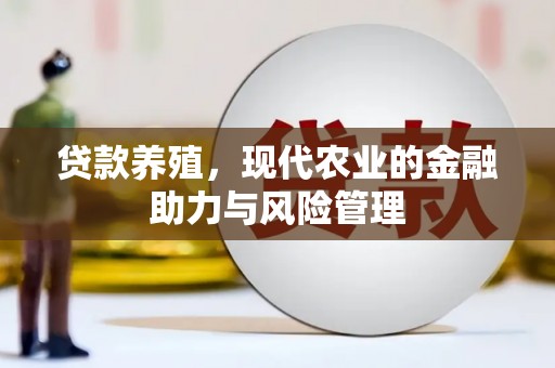 盐津贷款养殖，现代农业的金融助力与风险管理