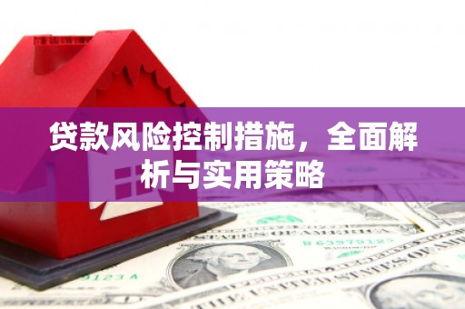 盐津贷款风险控制措施，全面解析与实用策略