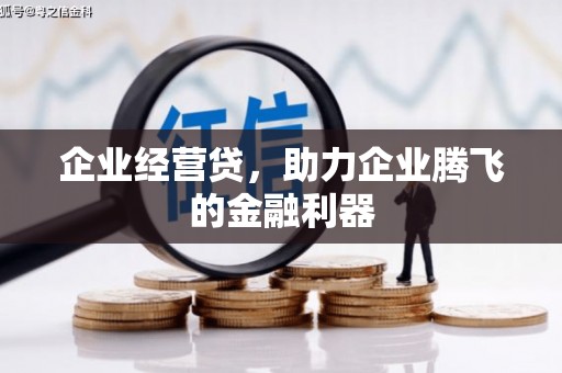 盐津企业经营贷，助力企业腾飞的金融利器