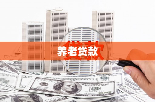 盐津养老贷款