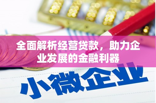 盐津全面解析经营贷款，助力企业发展的金融利器