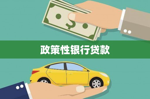 盐津政策性银行贷款