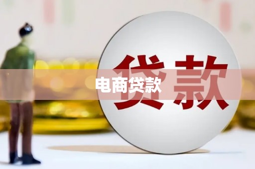 盐津电商贷款