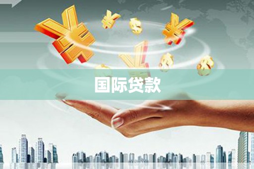 盐津国际贷款