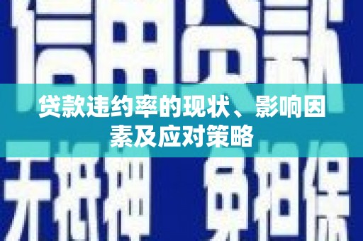 盐津贷款违约率的现状、影响因素及应对策略