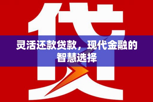 盐津灵活还款贷款，现代金融的智慧选择