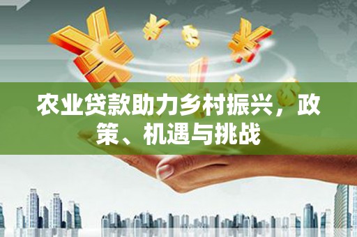 盐津农业贷款助力乡村振兴，政策、机遇与挑战