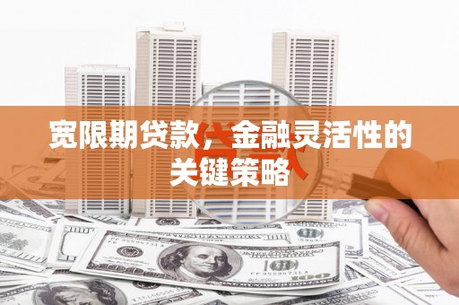 盐津宽限期贷款，金融灵活性的关键策略