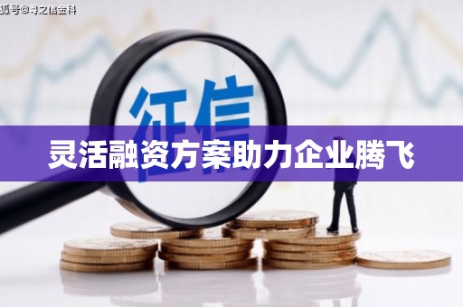 盐津灵活融资方案助力企业腾飞